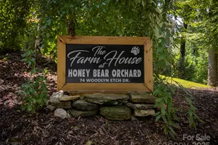 74 Woodlyn Etch Dr, Hendersonville, NC 28792 - Photo 2