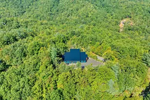 42 S Feather Falls Trail, Old Fort, NC 28762 - Photo 6