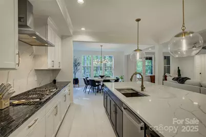 16320 Here At Last Lane, Charlotte, NC 28278 - Photo 10