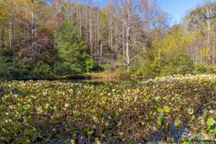 120 Trimont Trail, Franklin, NC 28734 - Photo 22