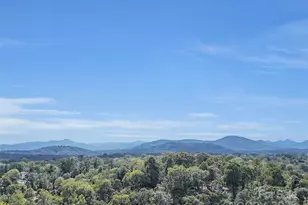 17 Elkmont Terrace, Asheville, NC 28804 - Photo 20