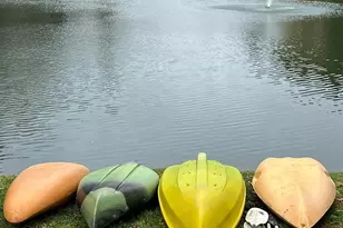 1619 Ellis Belk Rd, Monroe, NC 28112 - Photo 44