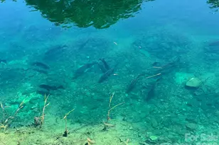 1619 Ellis Belk Rd, Monroe, NC 28112 - Photo 44