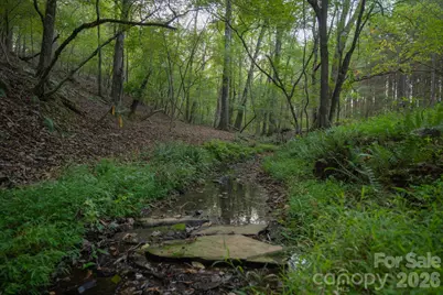 1619 Ellis Belk Road, Monroe, NC 28112 - Photo 38