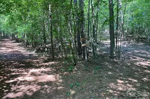 1619 Ellis Belk Rd, Monroe, NC 28112 - Photo 40