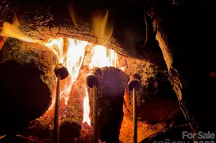 1619 Ellis Belk Rd, Monroe, NC 28112 - Photo 38