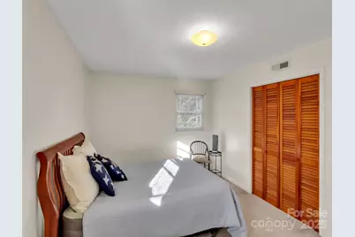 250 Reeves Cove Road, Candler, NC 28715 - Photo 14