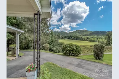 250 Reeves Cove Road, Candler, NC 28715 - Photo 30