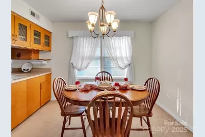 250 Reeves Cove Road, Candler, NC 28715 - Photo 10