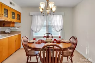 250 Reeves Cove Rd, Candler, NC 28715 - Photo 10