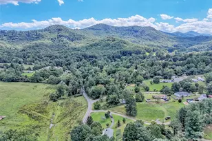 250 Reeves Cove Rd, Candler, NC 28715 - Photo 42