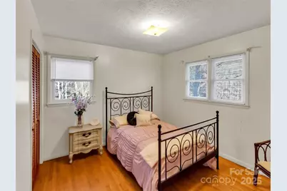 250 Reeves Cove Road, Candler, NC 28715 - Photo 12