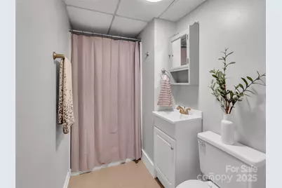 250 Reeves Cove Road, Candler, NC 28715 - Photo 28