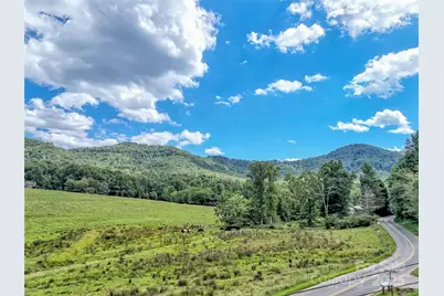 250 Reeves Cove Road, Candler, NC 28715 - Photo 2