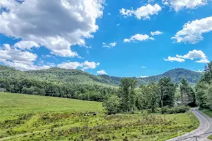 250 Reeves Cove Rd, Candler, NC 28715 - Photo 2