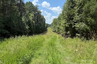 438 Pine River Trail, Clemmons, NC 27012 - Photo 4