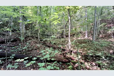 0 Cross Creek Circle, Sylva, NC 28779 - Photo 26