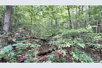 0 Cross Creek Circle, Sylva, NC 28779 - Photo 18