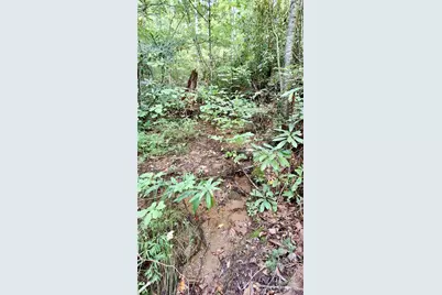 0 Cross Creek Circle, Sylva, NC 28779 - Photo 6