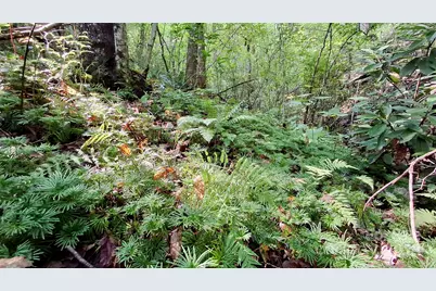 0 Cross Creek Circle, Sylva, NC 28779 - Photo 10