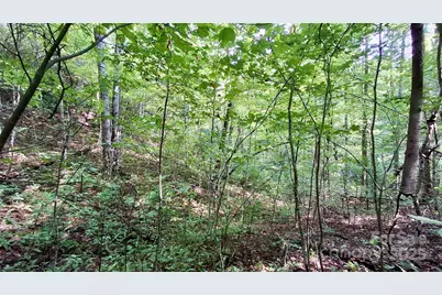 0 Cross Creek Circle, Sylva, NC 28779 - Photo 22
