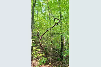 0 Cross Creek Circle, Sylva, NC 28779 - Photo 8