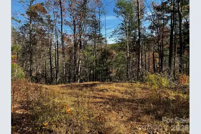270 S Jarvis Drive, Hendersonville, NC 28792 - Photo 24