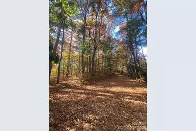 270 S Jarvis Drive, Hendersonville, NC 28792 - Photo 10