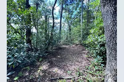 270 S Jarvis Drive, Hendersonville, NC 28792 - Photo 18