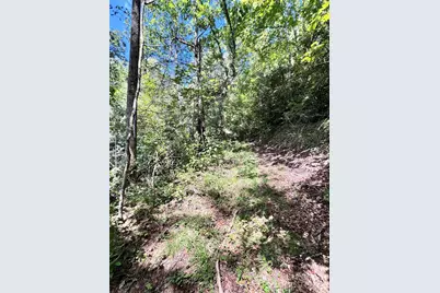 270 S Jarvis Drive, Hendersonville, NC 28792 - Photo 20