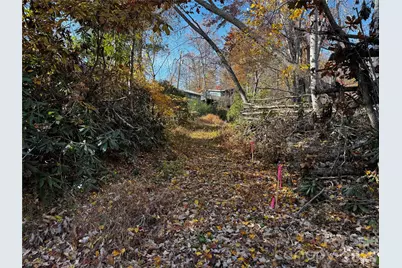 270 S Jarvis Drive, Hendersonville, NC 28792 - Photo 30