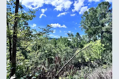 270 S Jarvis Drive, Hendersonville, NC 28792 - Photo 14