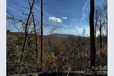 270 S Jarvis Drive, Hendersonville, NC 28792 - Photo 1