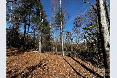 270 S Jarvis Drive, Hendersonville, NC 28792 - Photo 4