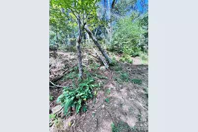 270 S Jarvis Drive, Hendersonville, NC 28792 - Photo 12