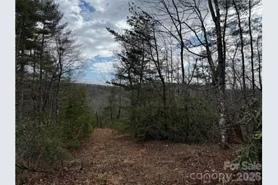 270 S Jarvis Drive, Hendersonville, NC 28792 - Photo 34