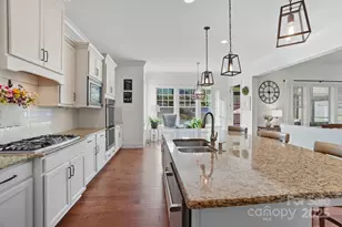 546 Abelia Ln, Fort Mill, SC 29708 - Photo 14