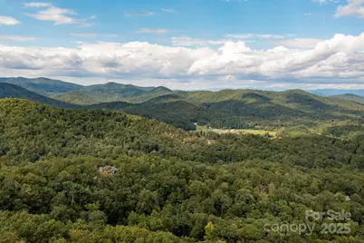 559 Shining Rock Path, Horse Shoe, NC 28742 - Photo 36