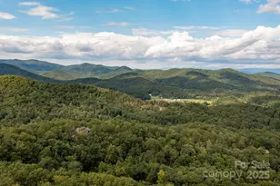 559 Shining Rock Path, Horse Shoe, NC 28742 - Photo 36