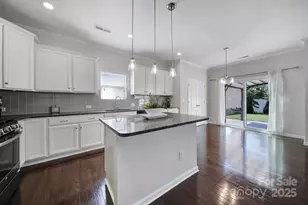 1541 Spring Blossom Trail, Fort Mill, SC 29708 - Photo 14