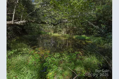 250 Circus Trail, Forest City, NC 28043 - Photo 40