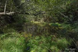 250 Circus Trail, Forest City, NC 28043 - Photo 40