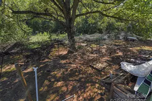 250 Circus Trail, Forest City, NC 28043 - Photo 30