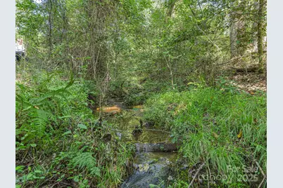 250 Circus Trail, Forest City, NC 28043 - Photo 38