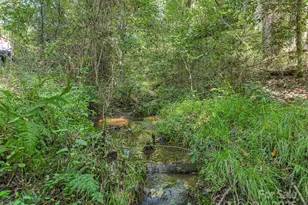 250 Circus Trail, Forest City, NC 28043 - Photo 38