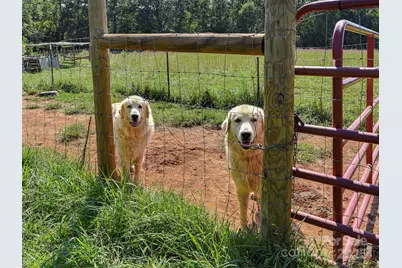 250 Circus Trail, Forest City, NC 28043 - Photo 36