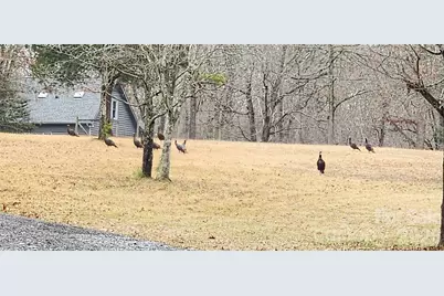 1115 John Short Road, Indian Land, SC 29707 - Photo 38