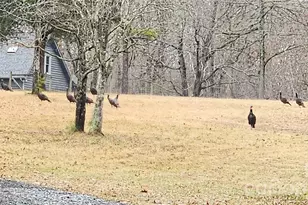 1115 John Short Rd, Indian Land, SC 29707 - Photo 38