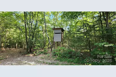 1115 John Short Road, Indian Land, SC 29707 - Photo 40