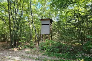 1115 John Short Rd, Indian Land, SC 29707 - Photo 40